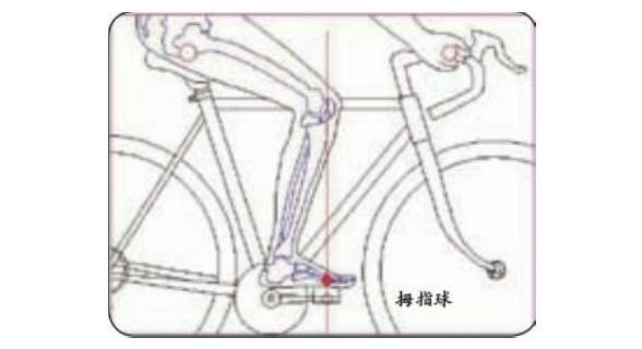 半岛·综合体育下载单车骑行：黄金三点调整法(图2)