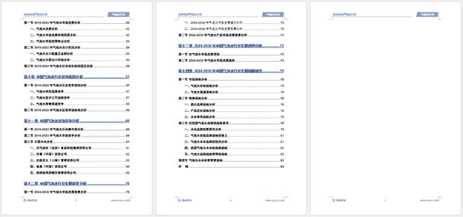 中国气泡水行业市场分析及投资前景预测报告—智研咨询发布(图6)