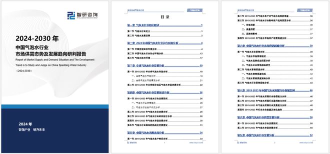 中国气泡水行业市场分析及投资前景预测报告—智研咨询发布(图5)